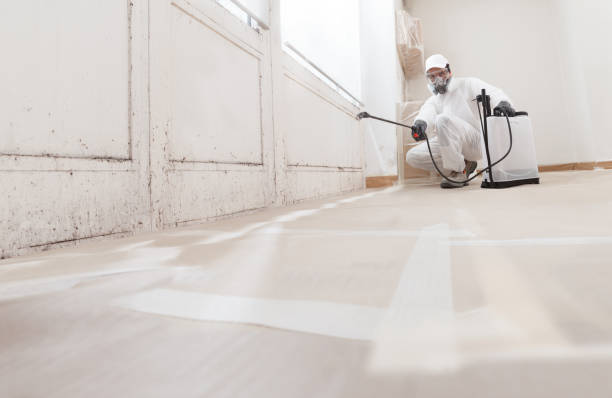 24/7 Emergency Basement Mold Remediation experts in Goldston, NC