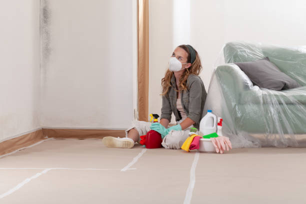 Reliable Basement Mold Remediation contractor in Goldston, NC by 24 Hour Mold Removal