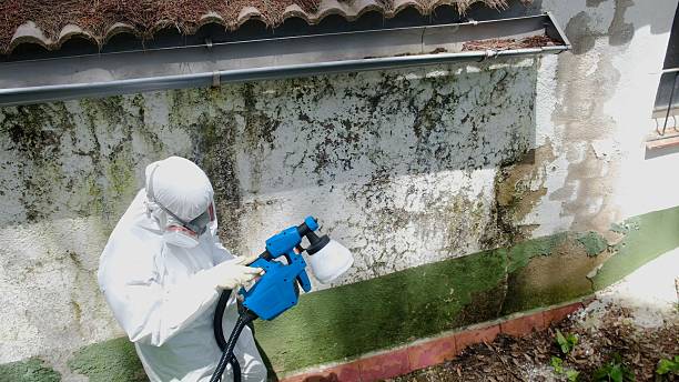 Top rated local Basement Mold Remediation specialists in Goldston, NC